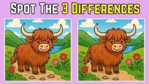 14-Second Challenge: Spot the 3 Differences in the Yolk Pictures