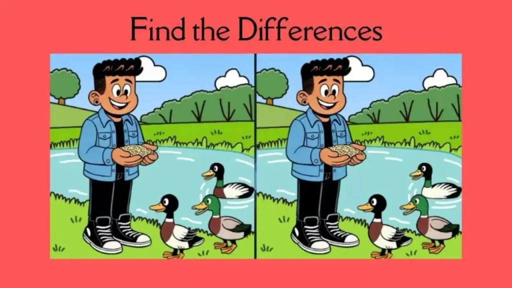 3 Subtle Differences