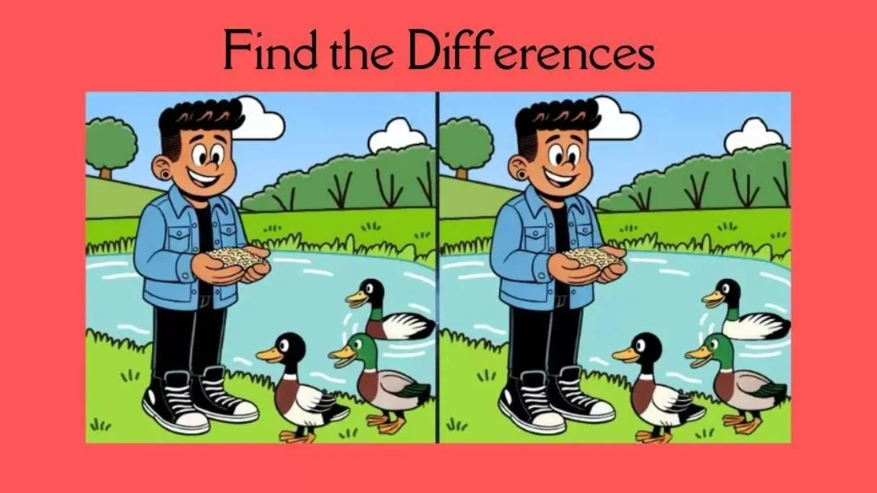 3 Subtle Differences