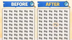 5-Second Brain Teaser Challenge: Spot the Word ‘Pig’ Among ‘Big’