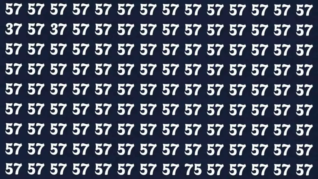 5-Second Optical Illusion (1)