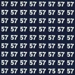 5-Second Optical Illusion (1)