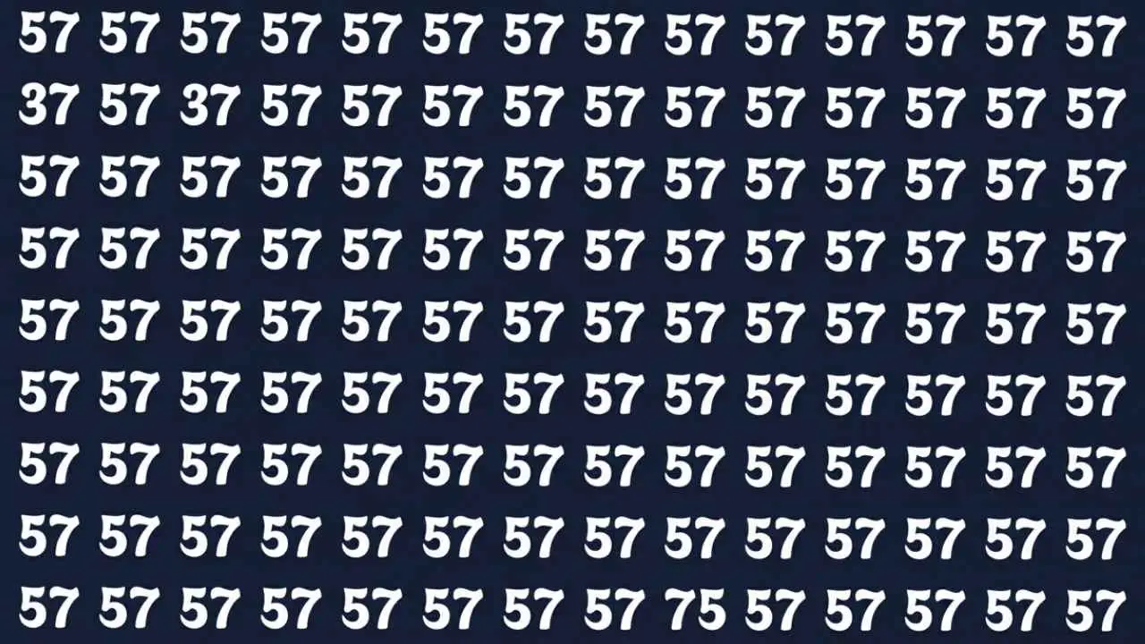 5-Second Optical Illusion (1)