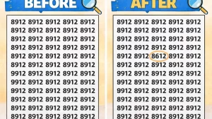 Optical Illusion Puzzle: Spot the Hidden 8612 Among 8912