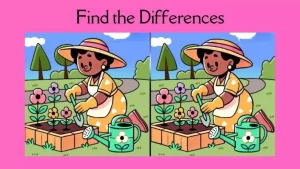 Spot the Difference Challenge: Find 3 Differences in the Flower Shop Image