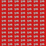 Hidden Number 519 Among 516s