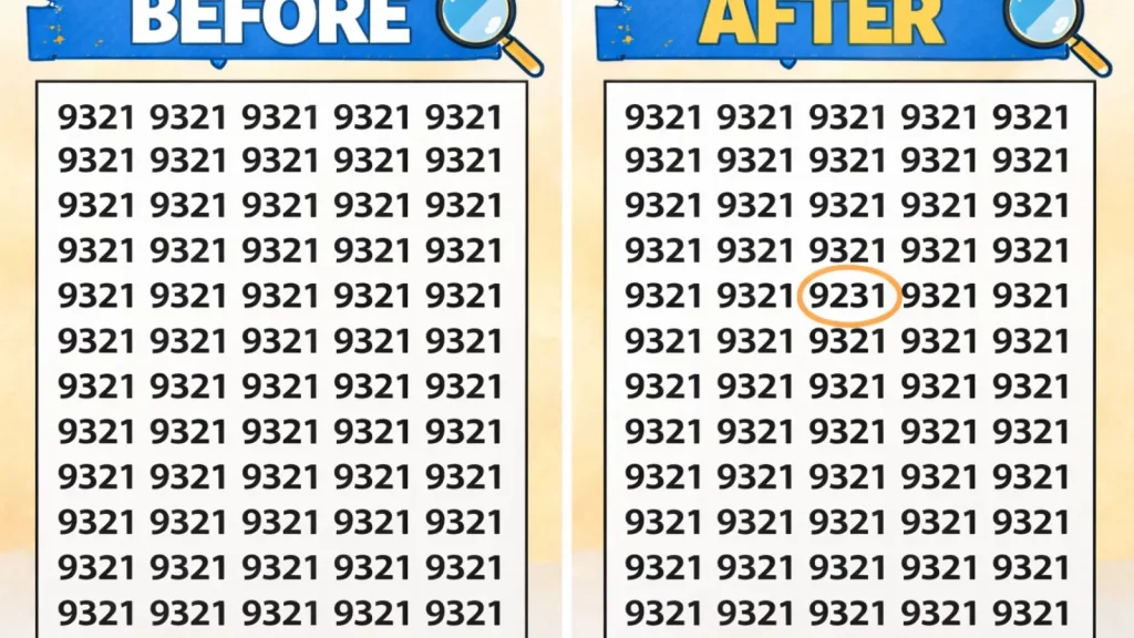 Optical Illusion Challenge