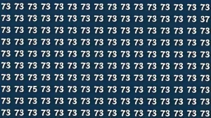 Optical Illusion Eye Test: Locate 37 and 75 Among 73s in 7 Seconds