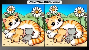 Spot the Difference Game: Find 3 Differences in Cat Pictures in 15 Seconds