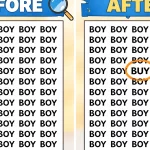 Visual Illusion Challenge